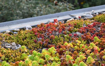 the cost of Cark green roof installation